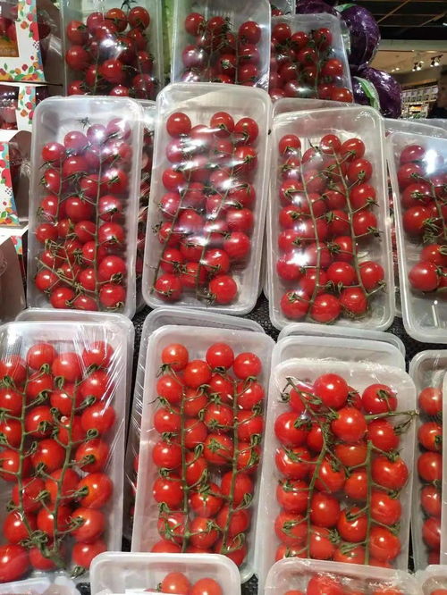 氧心園精品蔬菜 新鮮豌豆，一顆來自田野的美味